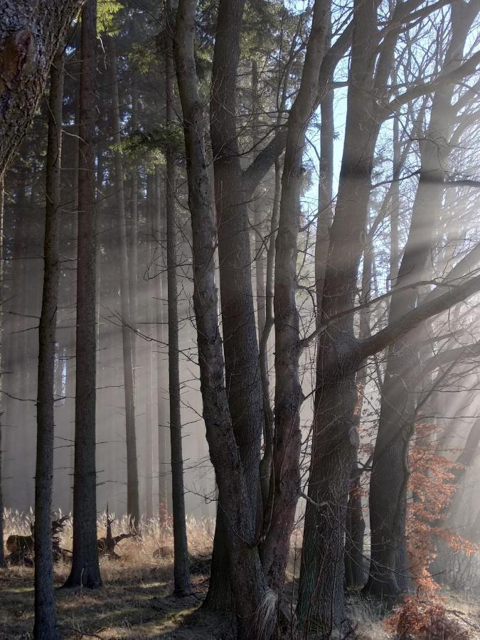 Apartmany Adrspach " U Kozaru " Teplice nad Metuji Bagian luar foto