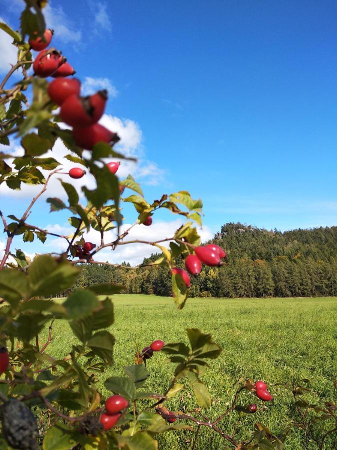 Apartmany Adrspach " U Kozaru " Teplice nad Metuji Bagian luar foto