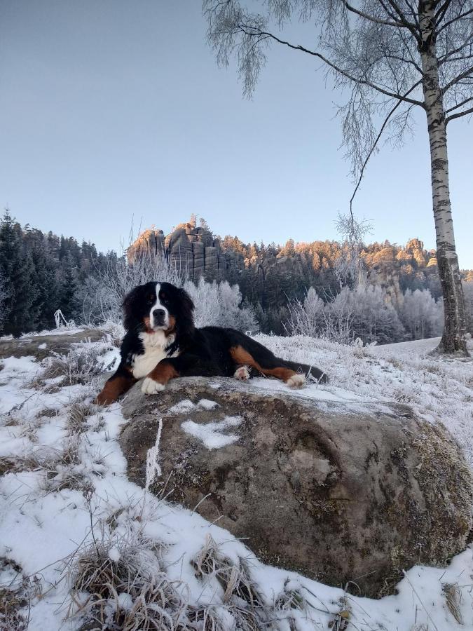 Apartmany Adrspach " U Kozaru " Teplice nad Metuji Bagian luar foto